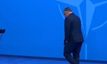 Orbán zsebre tett kézzel, lehajtott fejjel sétált el az újságírók elől a vilniusi NATO-csúcson