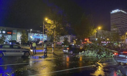 Újvidéken fa dőlt egy 12 éves kislányra, Belgrádban le kellett zárni a repülőteret