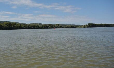 Ilyen a Duna vizének minősége Palánkánál