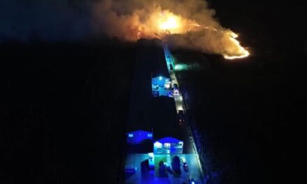 Kigyulladt egy palettagyár Futakon, a környező földekre is átterjedtek a lángok
