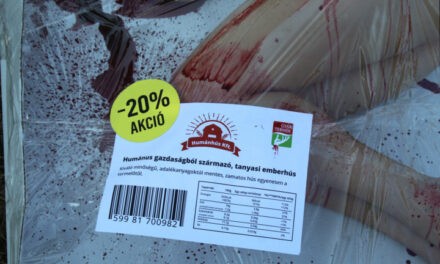 Emberhúst kínáltak tálcán, akciósan vegánok a Balatonon