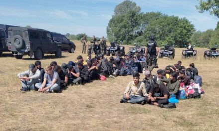 Tucatnyi fegyvert és több száz töltényt találtak a migránsoknál Szabadka környékén (Fotók)