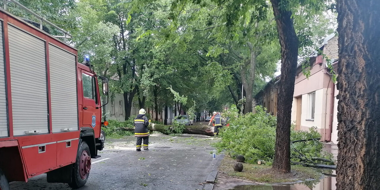 Kicsavart fák, leszakadt vezetékek, árvíz a központban és a parkban (képek)
