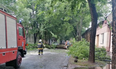 Kicsavart fák, leszakadt vezetékek, árvíz a központban és a parkban (képek)