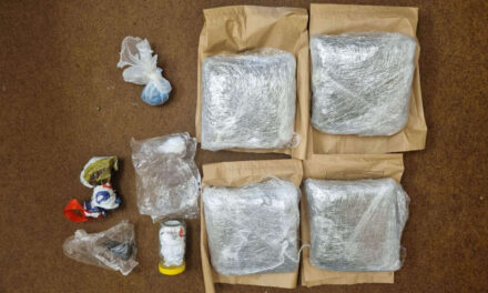 Több kiló kábítószert találtak a két topolyai dílernél (Fotók)