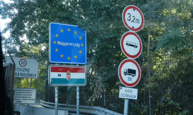 Szerb állampolgárt állítottak elő a magyar határrendészek