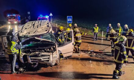 Ausztriában balesetet szenvedett egy szerbiai minibusz, egy nő súlyosan megsérült (Fotók)