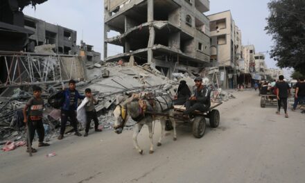 WHO: Többen fognak meghalni Gázában fertőzésben, mint a bombázások miatt