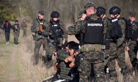 Négy város területén 870 migránst fogtak el a rendőrök, fegyvereket és drogot is találtak (Fotógaléria)