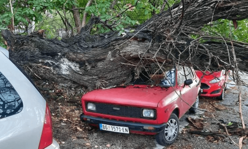 Belgrádban fákat döntött ki a viharos szél, Újvidéken leszakadt az ég