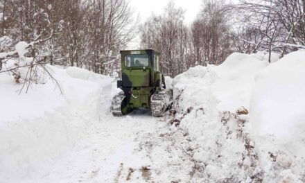<span class="entry-title-primary">Már a hadsereget is bevetették Szerbiában a havazás miatt</span> <span class="entry-subtitle">Többezer háztartásban nincs áram, telefon és internet - A hó vastagsága eléri a fél métert</span>