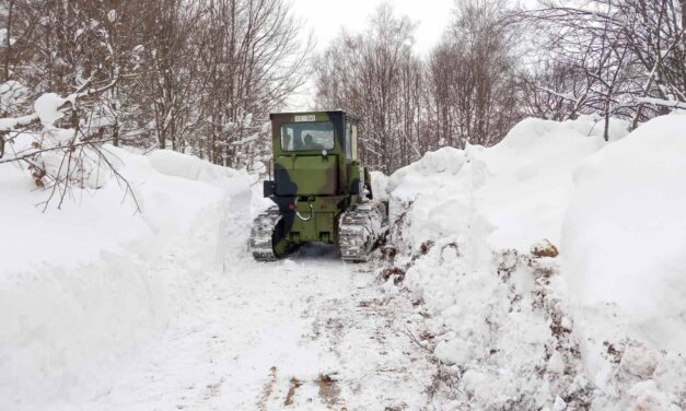 Rendkívüli helyzetet okozott a havazás Szerbia déli részén