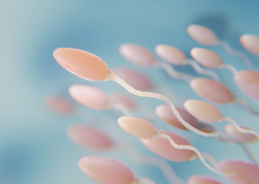 Rovarölők miatt csökken a férfiak spermiumszáma