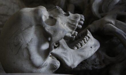Csontvázat találtak egy belgrádi lakásban
