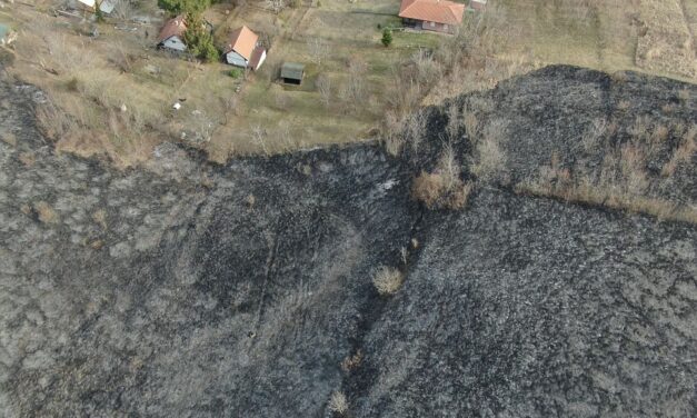 Így néz ki a leégett terület a Fruška Gorán (Videó)