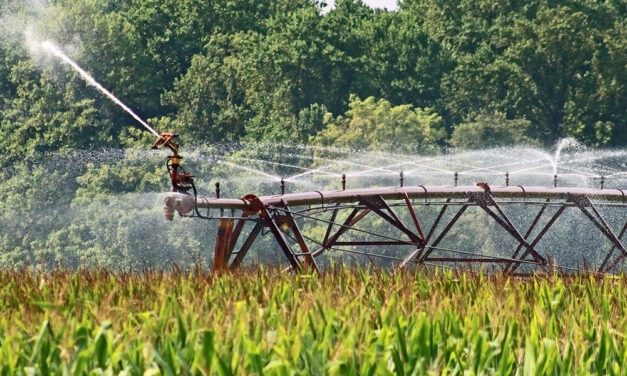 Bővítik az öntözőrendszer-hálózatot Kishegyesen