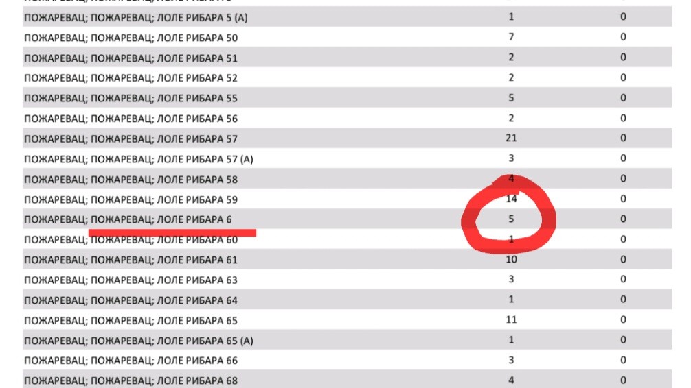 A névjegyzék alapján Požarevacon még a szavazóhelyeken is „laknak” választópolgárok