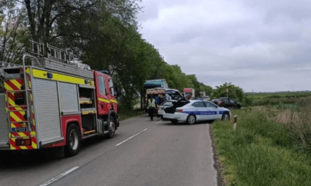 Súlyos közúti baleset történt Apatin és Bácsszentiván között (Fotók)