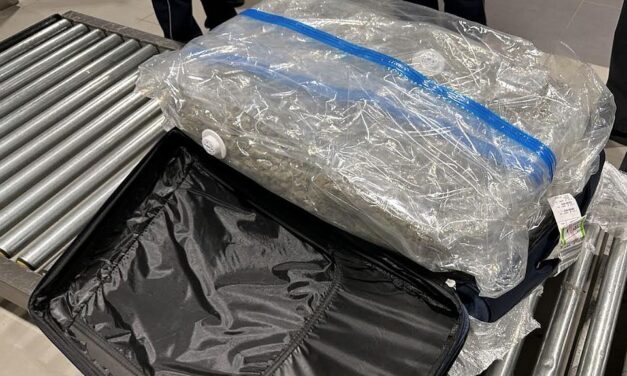 Húsz kilogramm marihuánával repült Párizsból Belgrádba (Fotók)