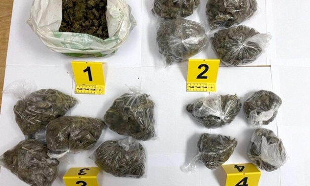 Több kilogramm marihuánát találtak Pancsován egy belgrádi fiatalnál