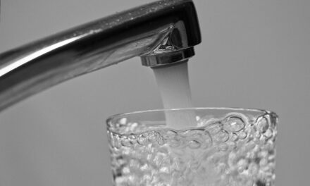 Üzembe helyeztek egy kutat Zentán, tizenegyezer háztartás számára biztosít ivóvizet