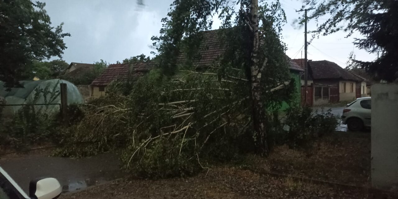 Fákat döntött ki a vihar, több helyen elment az áram