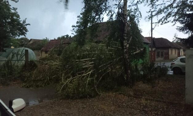 Fákat döntött ki a vihar, több helyen elment az áram