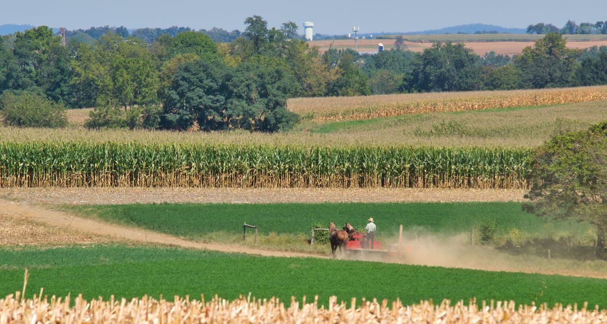 Katasztrofális a helyzet a mezőgazdaságban, készek utcára vonulni a gazdák