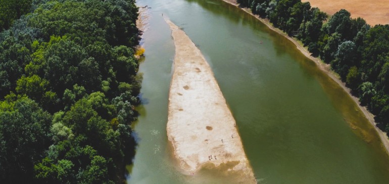 Újra felbukkant a Tisza különleges szigete