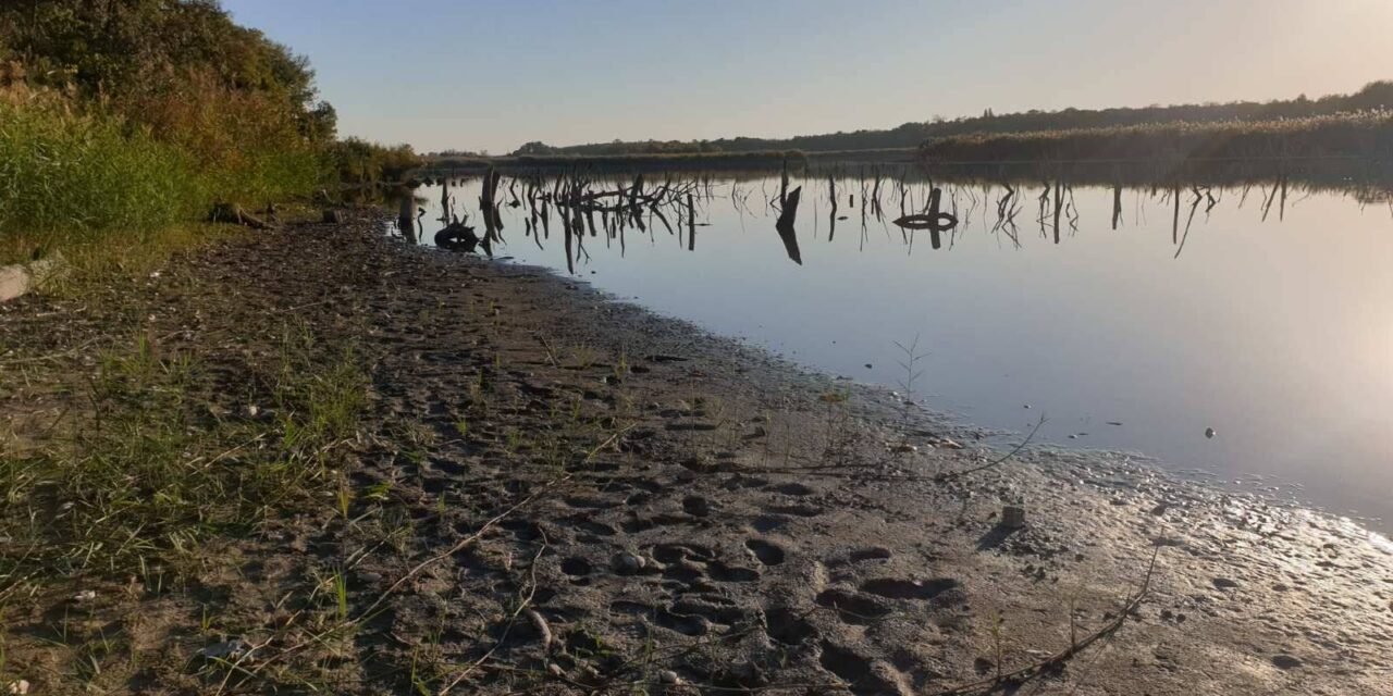 Eltűnik a víz a topolyai tóból