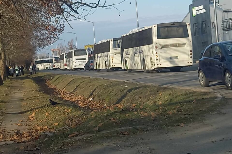 Nagyszámú polgárt utaztattak Szabadkáról Bánátba (Fotók)