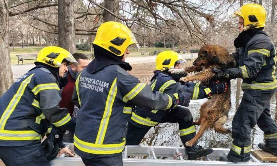 Különleges akciót hajtottak végre az újvidéki tűzoltók