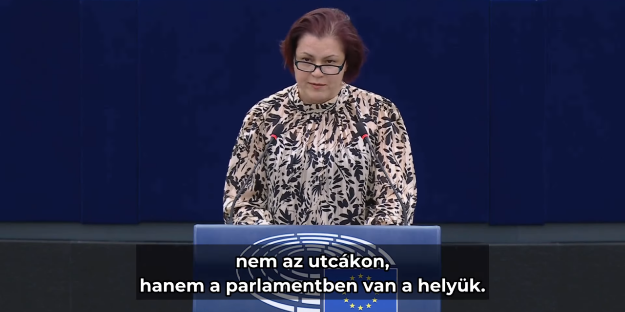 <span class="entry-title-primary">Si tacuisses, philosophus mansisses!</span> <span class="entry-subtitle">Nyílt levél Vicsek Annamária EP-képviselő asszonynak</span>