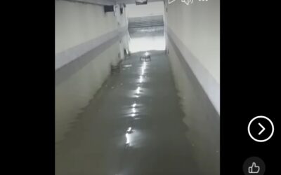 Használhatatlan a palicsi vasúti aluljáró, áll benne a víz