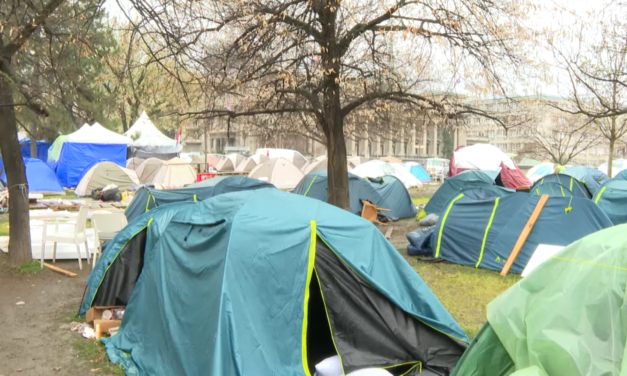 A rendőrség magyarázza meg, miért nem mehetett be az Insajder újságírója a Pionír parkba! (Videó)