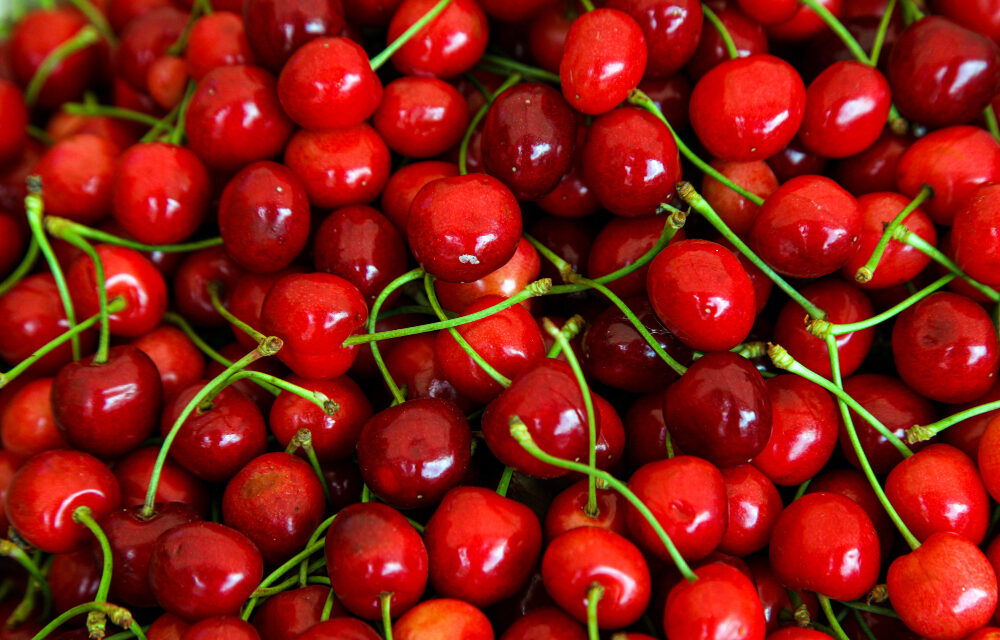 <span class="entry-title-primary">1500 dinárt is elkérnek a cseresznye kilójáért</span> <span class="entry-subtitle">A termesztők arra számítanak, hogy drágább lesz a sárgabarack, őszibarack és szilva is</span>