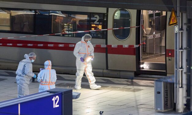 A támadás előtti napon engedték ki a pszichiátriáról a nőt, aki a hamburgi pályaudvaron késelt