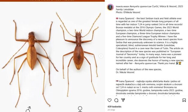 Rovart neveztek el Ivana Španovićról