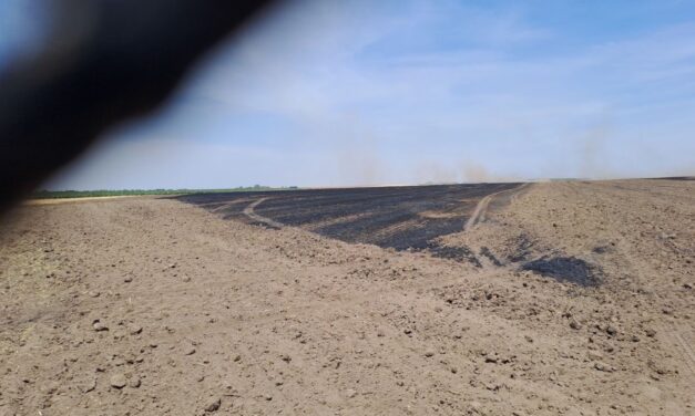 Elveszíthetik a támogatást azok a gazdaságok, amelyek meggyújtják a növényi hulladékot