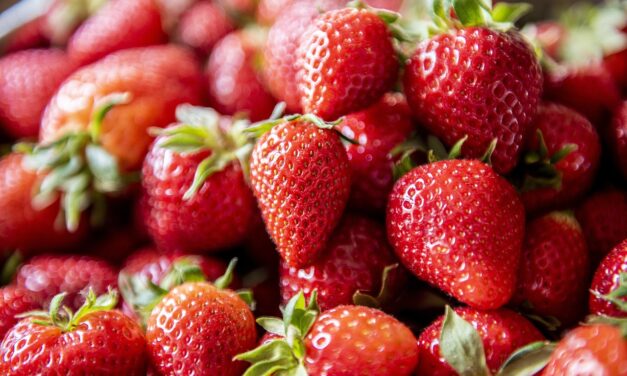 Belgiumban visszavonták a piacról a szerbiai epret