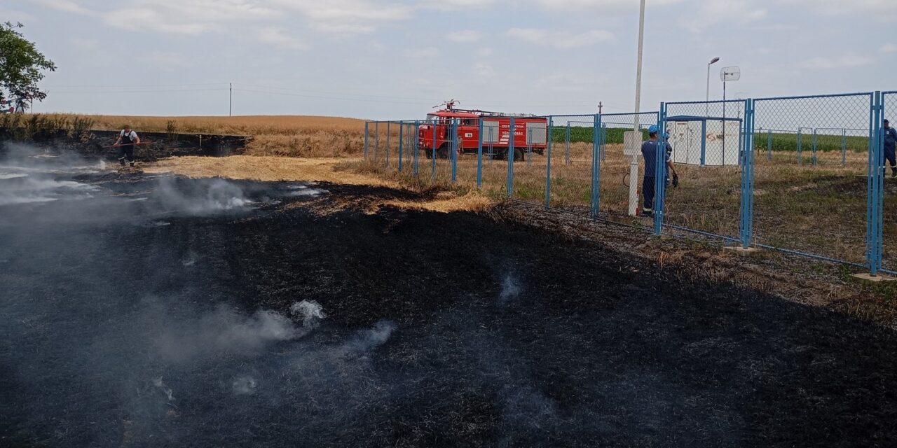 Több helyen is lángra kapott a tarló Tóthfalu határában (Fotók)