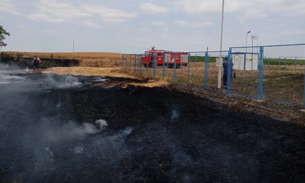 Az elmúlt tíz napban több mint 1.400 tűzeset történt