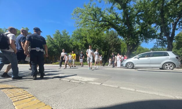 Országszerte zebra módra váltottak a tiltakozó polgárok – Szabadkán is (Fotó)