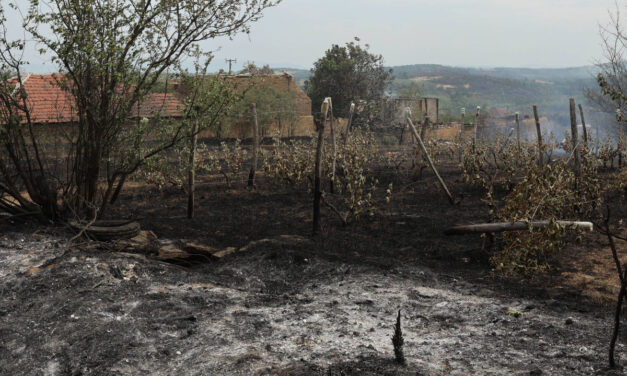 Természeti katasztrófa sújtotta területté nyilvánították a tűzvész által sújtott településeket