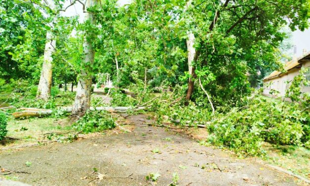 Leszakadt villanyvezeték, mikrobuszra dőlt fa, járdára zuhant téglák (képek)