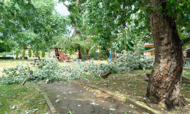 Nyolcéves kislány is megsérült a viharban