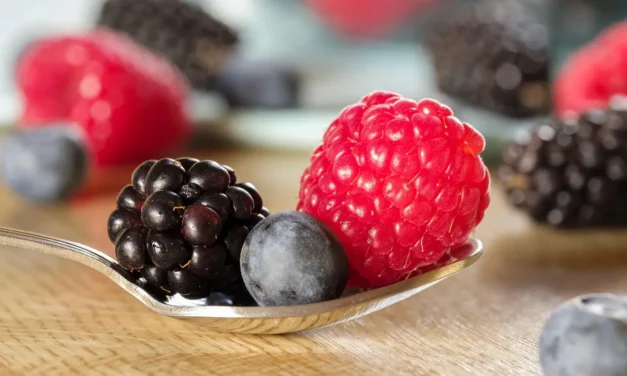 Hepatitis A vírus volt a szerbiai fagyasztott bogyós gyümölcsben