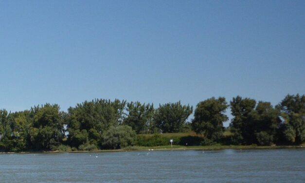 Felborult egy csónak Bácsújlaknál a Dunán, legalább egy ember meghalt, több eltűntet keresnek