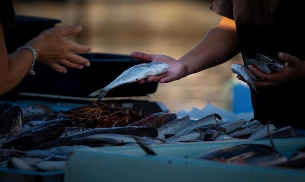 Szétverték egy tüntetőket támogató tulajdonos halboltját