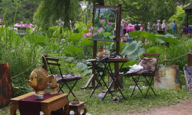 Közép-Európa legnagyobb virágzó indiailótusz-állományával várja látogatóit a szegedi füvészkert